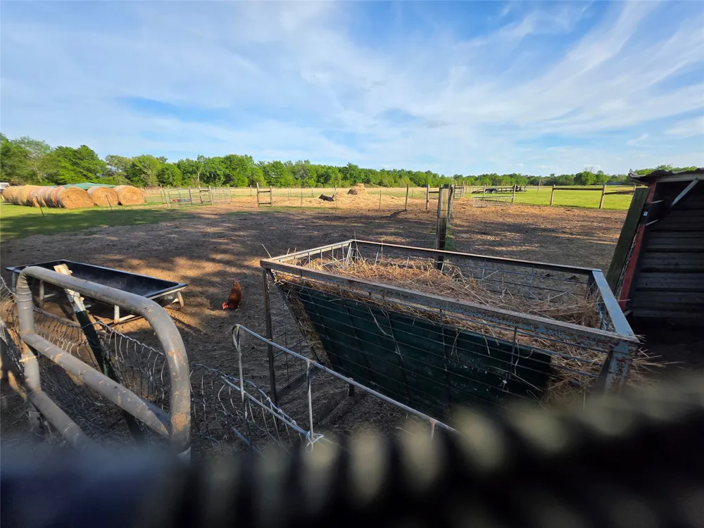 550 RS COUNTY ROAD 3425 Emory, TX 75440