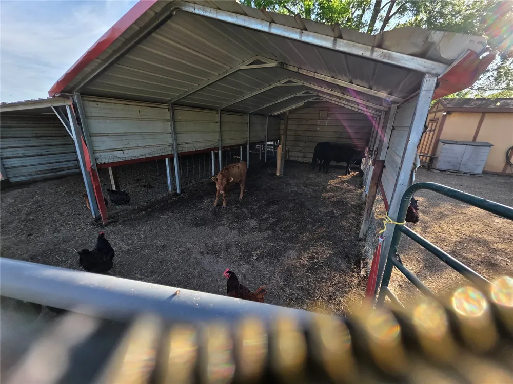 550 RS COUNTY ROAD 3425 Emory, TX 75440