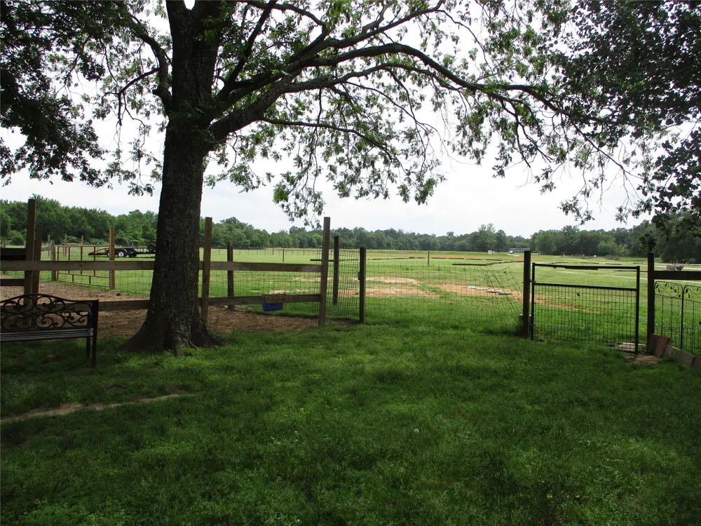 550 RS COUNTY ROAD 3425 Emory, TX 75440