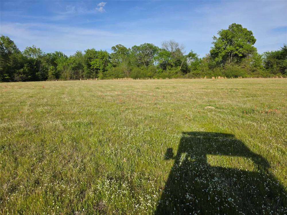 550 RS COUNTY ROAD 3425 Emory, TX 75440