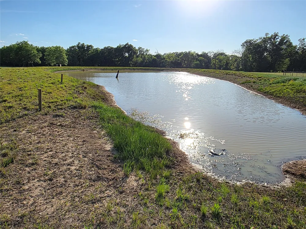 550 RS COUNTY ROAD 3425 Emory, TX 75440