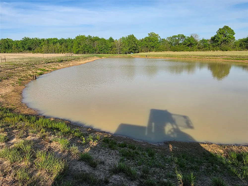 550 RS COUNTY ROAD 3425 Emory, TX 75440