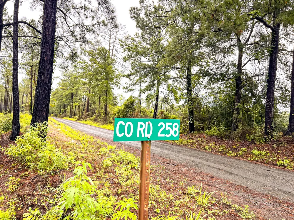 3 CR 257 Jasper, TX 75951