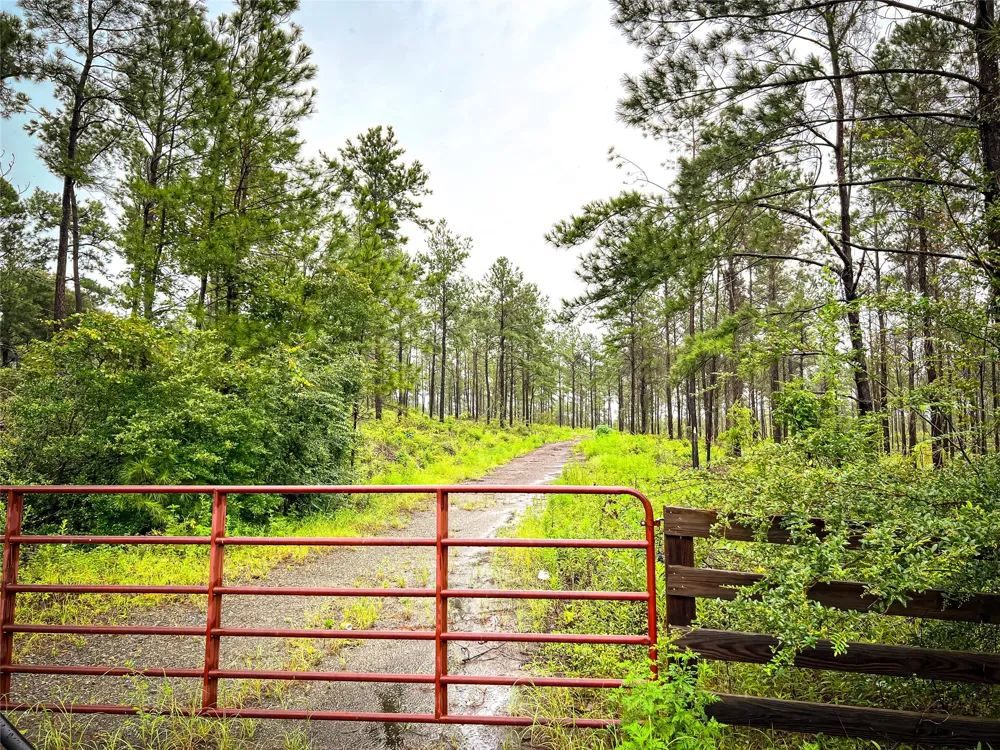 3 CR 257 Jasper, TX 75951