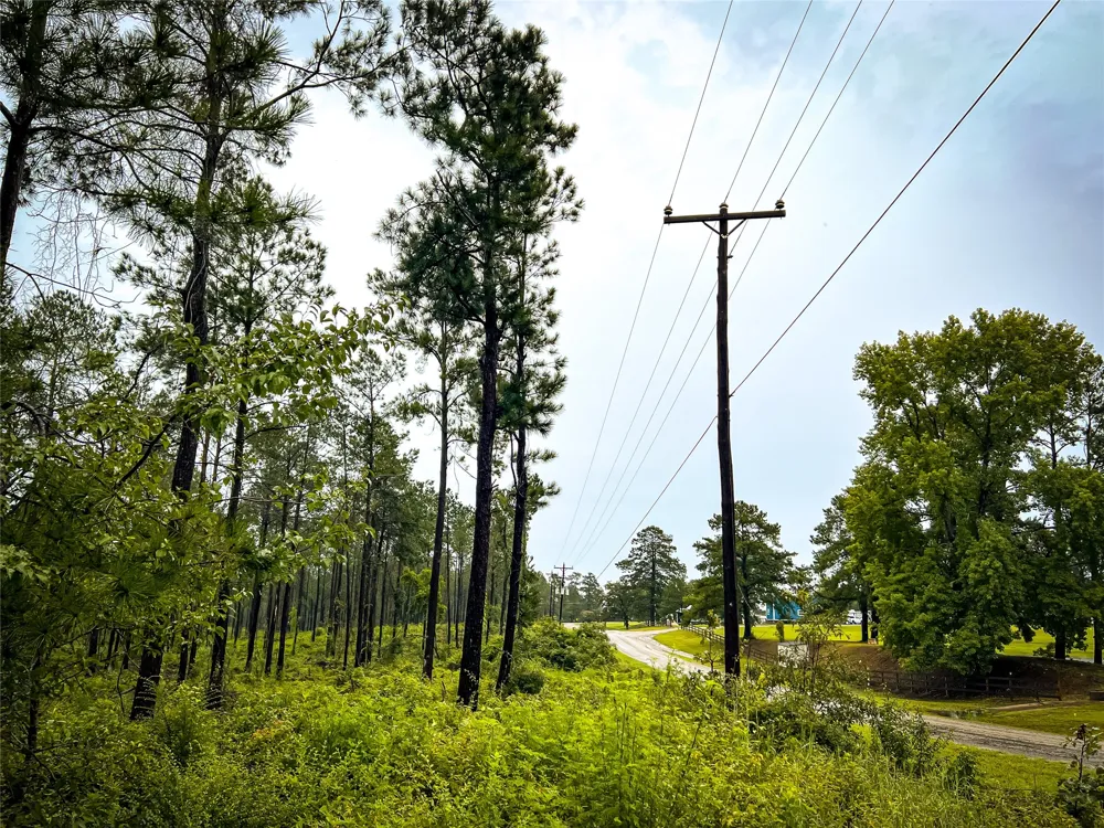3 CR 257 Jasper, TX 75951