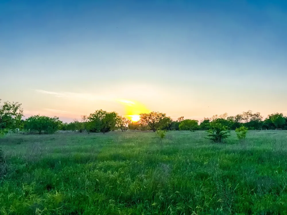 County Road 855 Teague, TX 75860