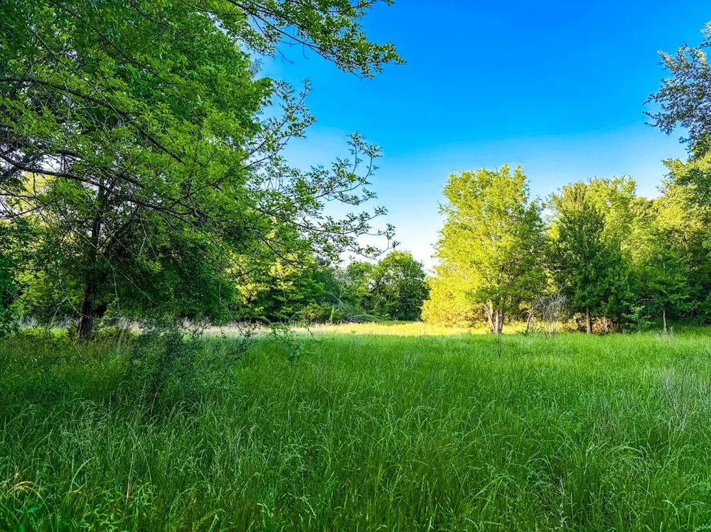 County Road 855 Teague, TX 75860