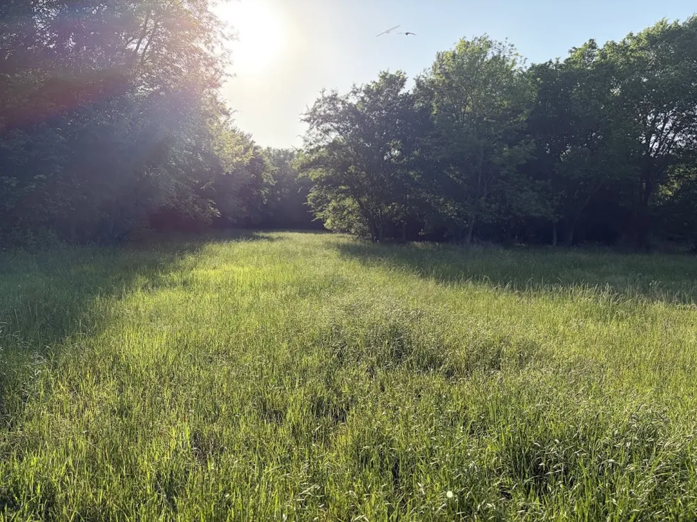 County Road 855 Teague, TX 75860