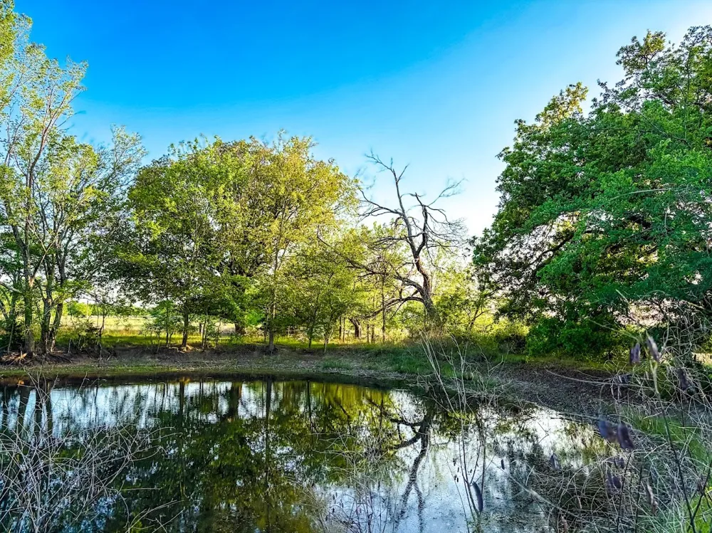 County Road 855 Teague, TX 75860