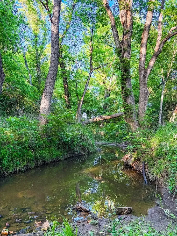 County Road 855 Teague, TX 75860
