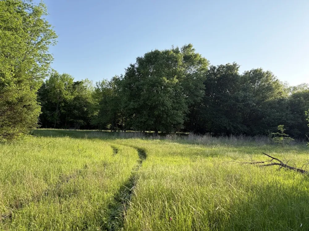 County Road 855 Teague, TX 75860