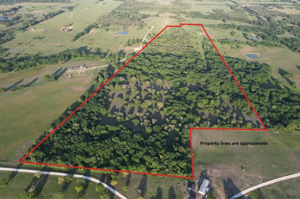 County Road 855 Teague, TX 75860