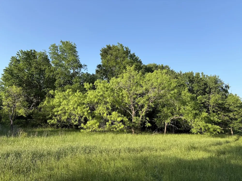 County Road 855 Teague, TX 75860