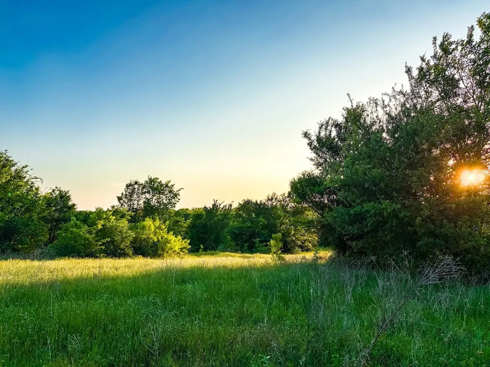 County Road 855 Teague, TX 75860