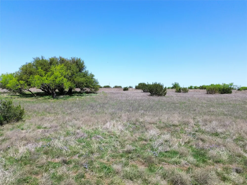 485 Hollow Drive Lipan, TX 76462