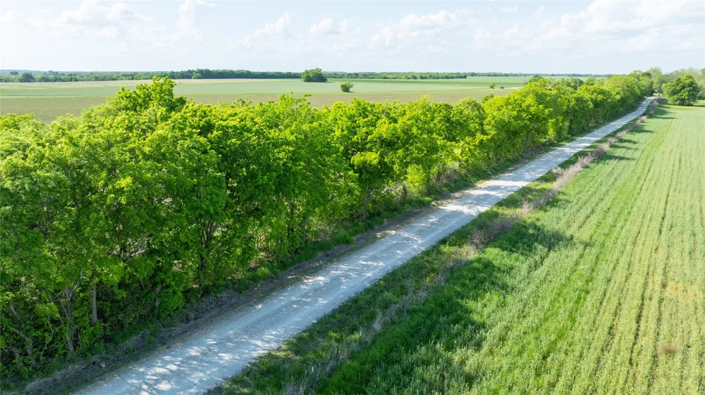 CR 26150 Roxton, TX 75477