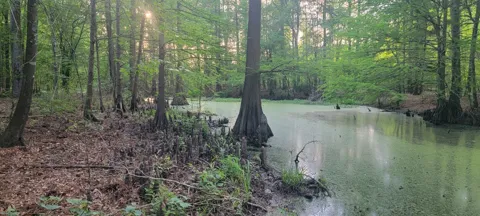 County Road 430