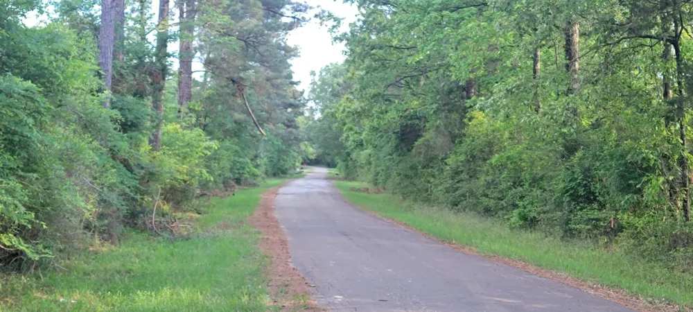County Road 430 Carthage, TX 75633