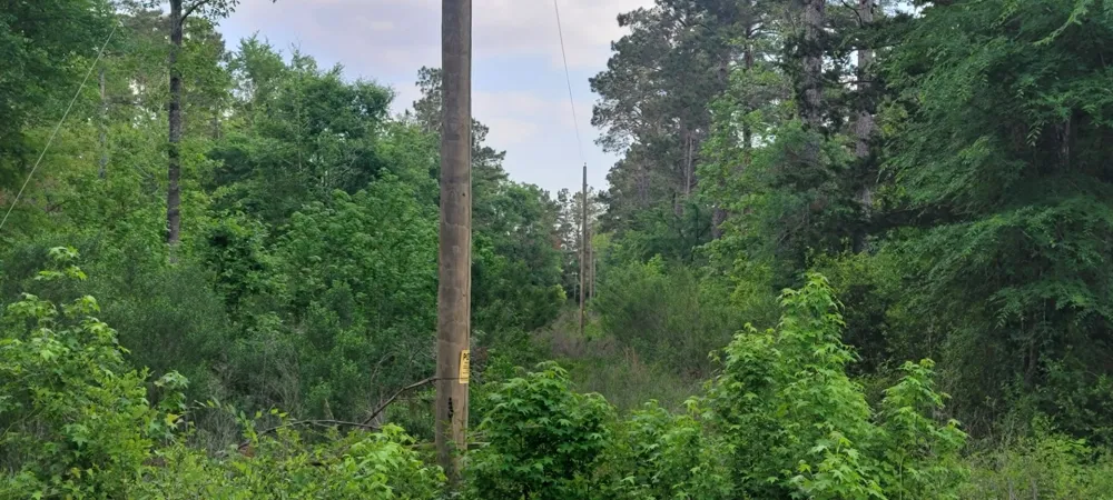 County Road 430 Carthage, TX 75633