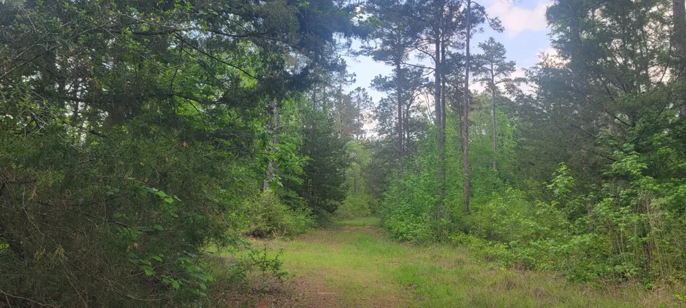 County Road 430 Carthage, TX 75633