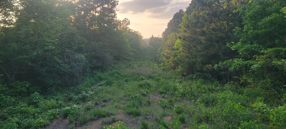 County Road 430 Carthage, TX 75633