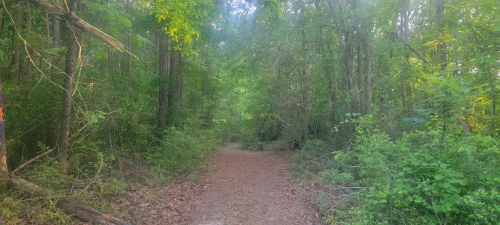 County Road 430 Carthage, TX 75633