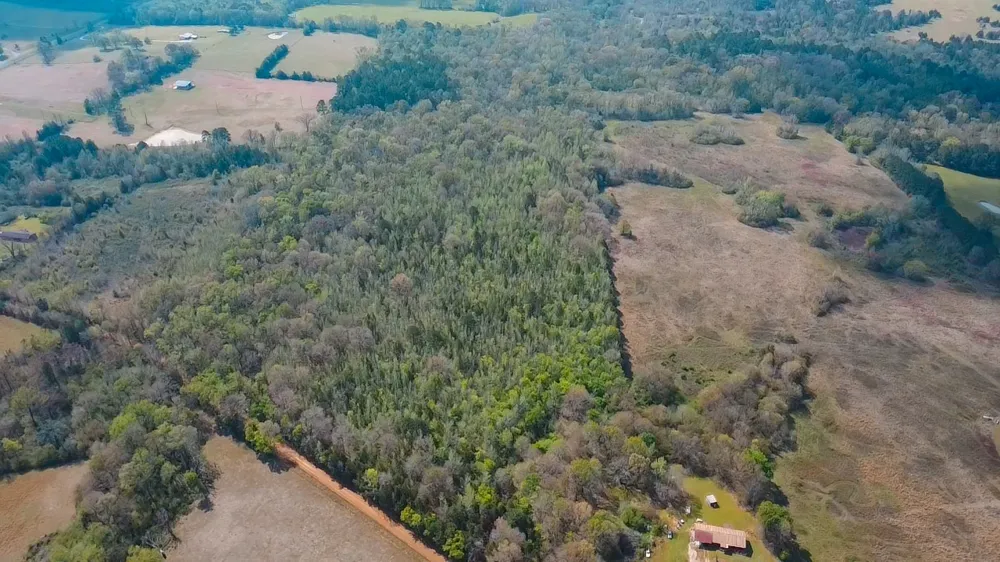 CR 4308 Reno Rd Naples, TX 75568