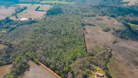 CR 4308 Reno Rd