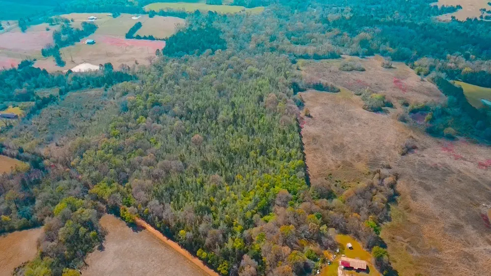 CR 4308 Reno Rd Naples, TX 75568