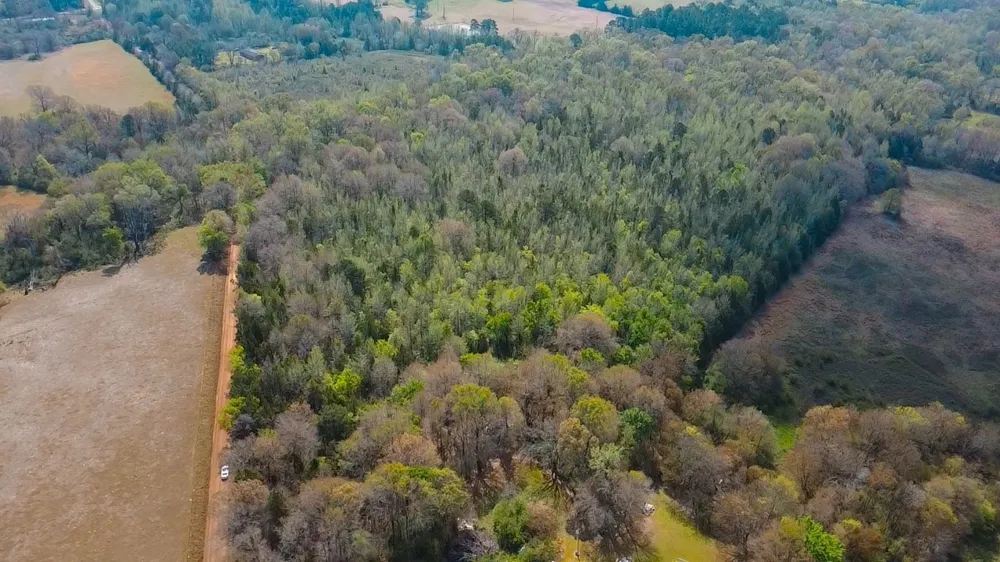 CR 4308 Reno Rd Naples, TX 75568