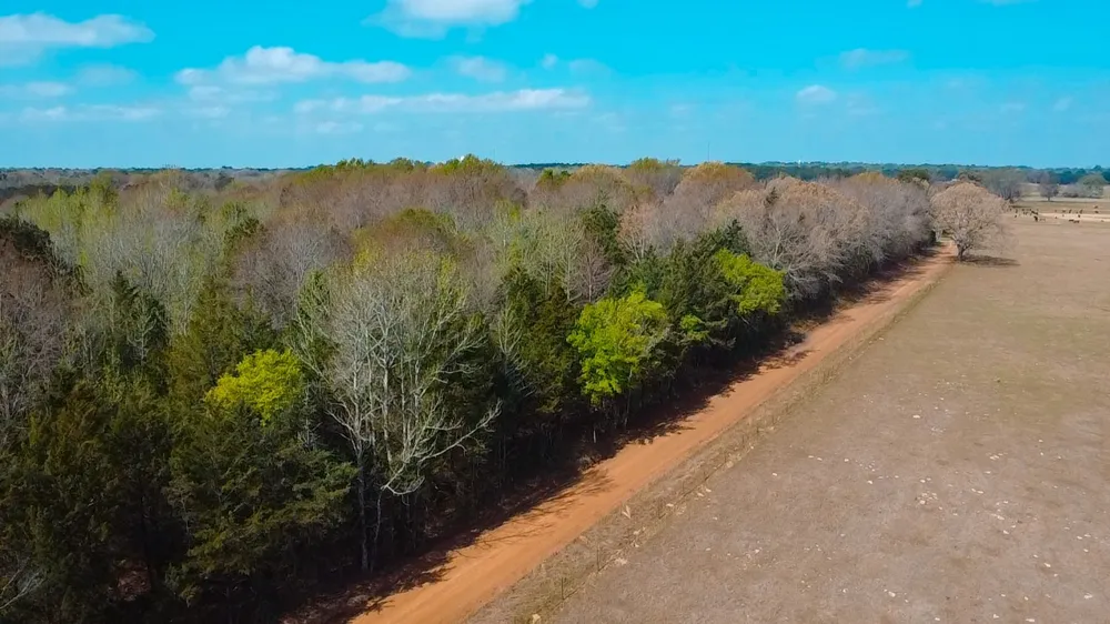 CR 4308 Reno Rd Naples, TX 75568