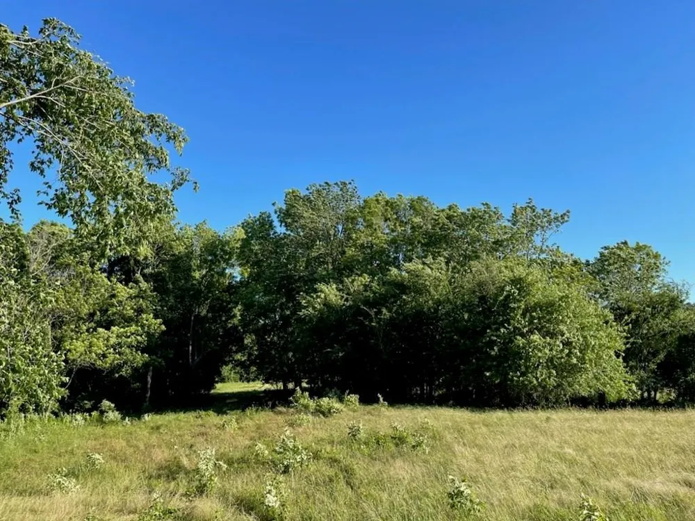 COUNTY ROAD 3561 Sulphur Bluff, TX 75481