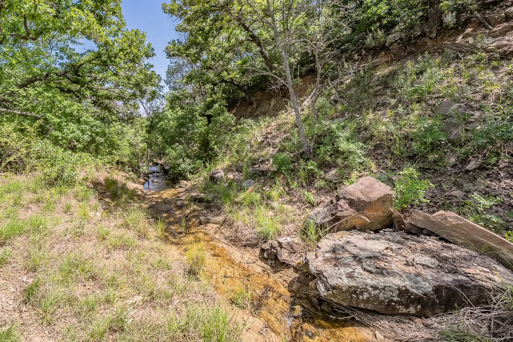 8955 Wolf Hollow Millsap, TX 76066
