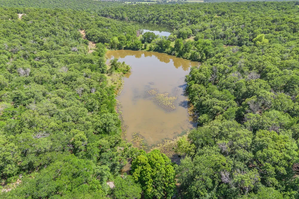 8955 Wolf Hollow Millsap, TX 76066