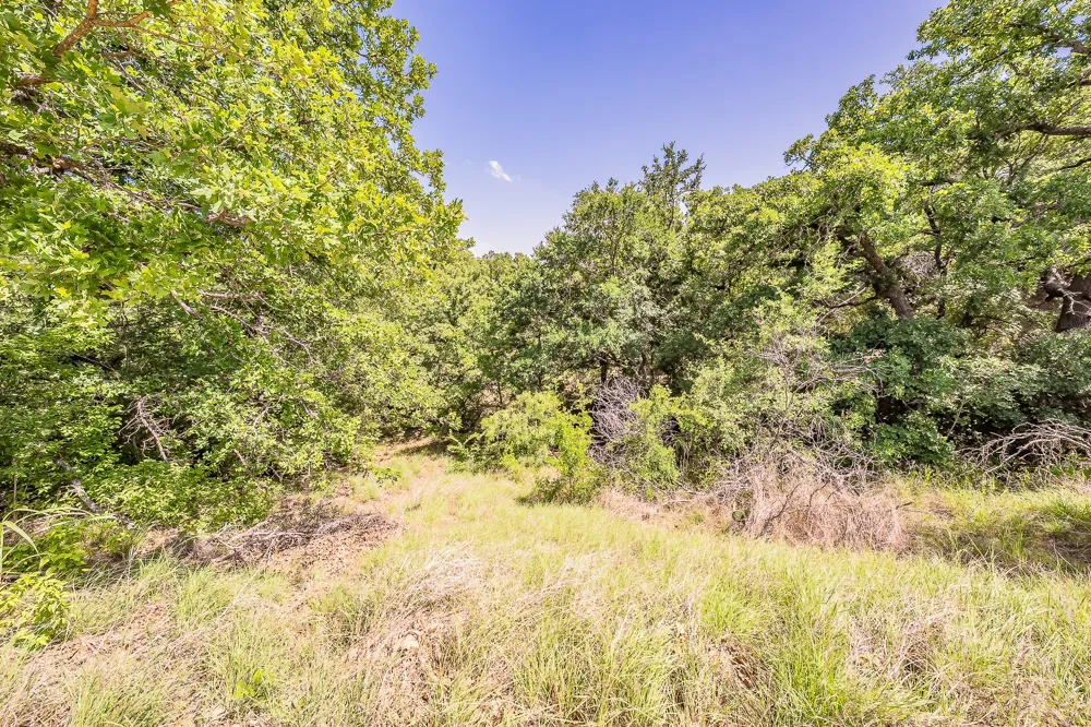 8955 Wolf Hollow Millsap, TX 76066
