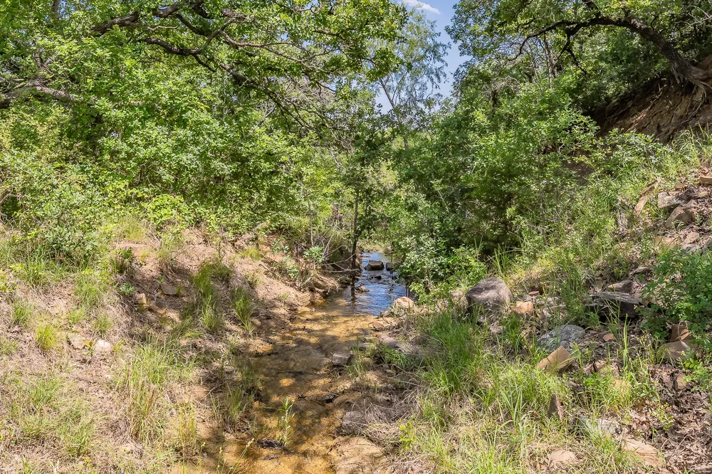 8955 Wolf Hollow Millsap, TX 76066