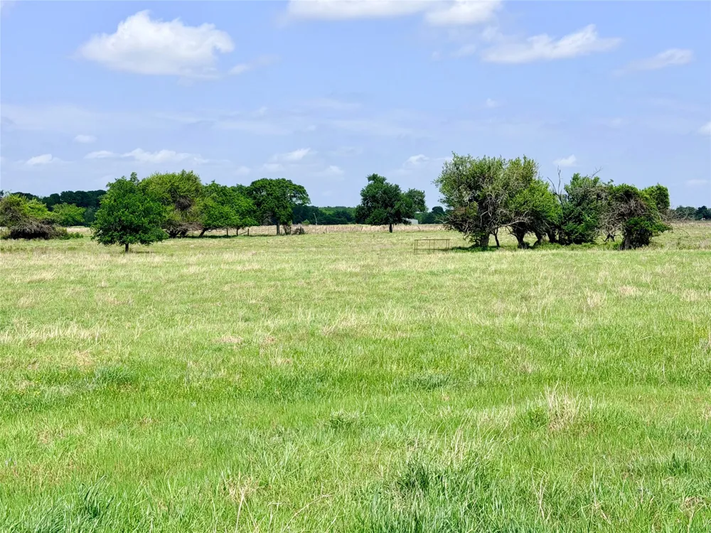 Fm 1183 Alma, TX 75119
