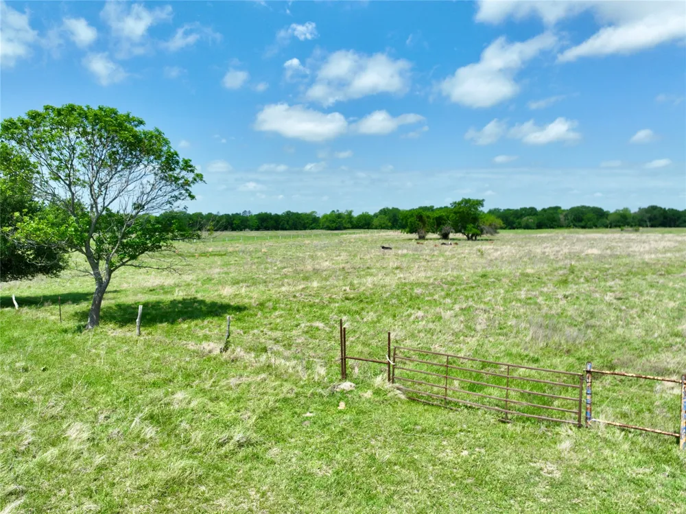 Fm 1183 Alma, TX 75119