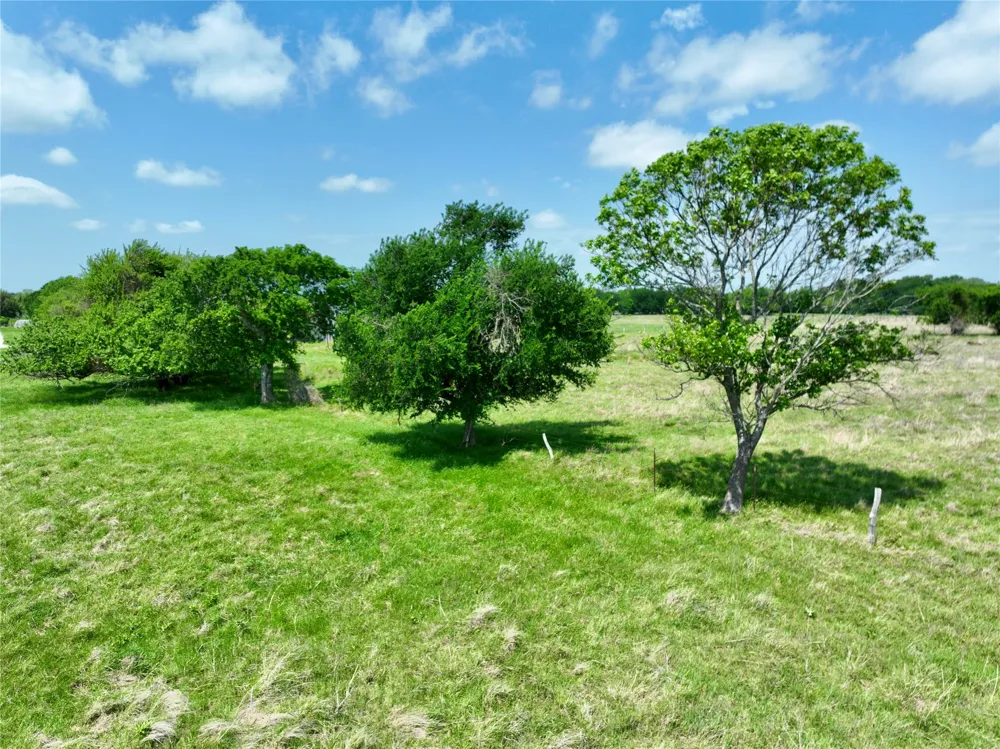 Fm 1183 Alma, TX 75119
