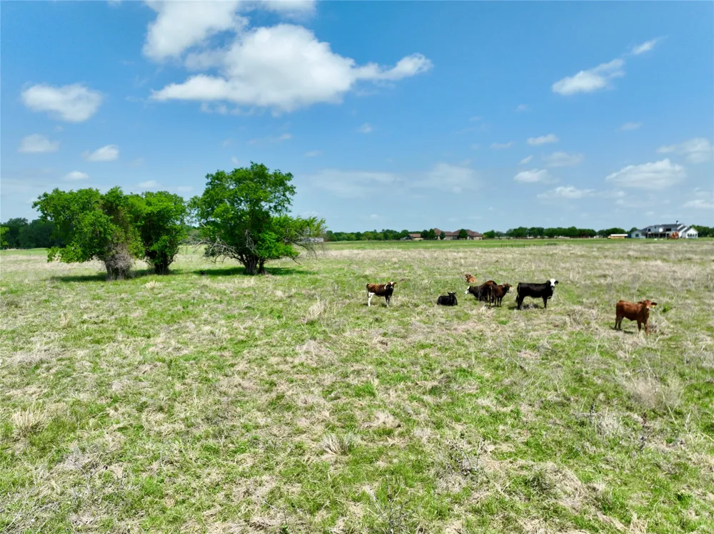 Fm 1183 Alma, TX 75119
