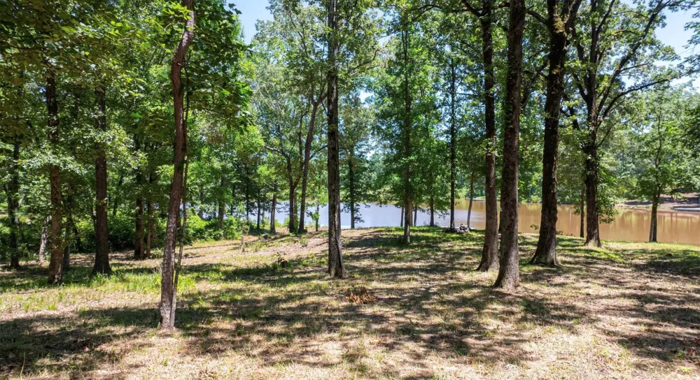 PR 52415 Leesburg, TX 75451