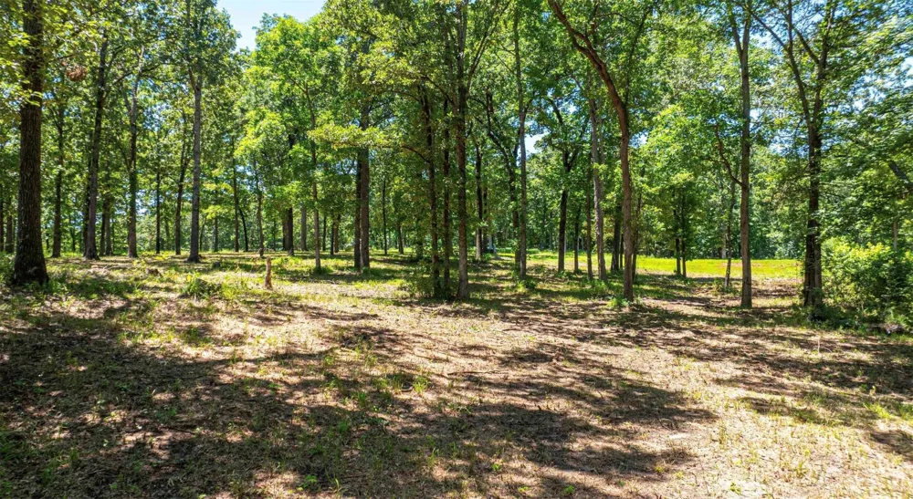 PR 52415 Leesburg, TX 75451