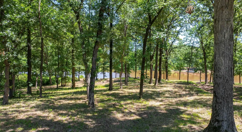 PR 52415 Leesburg, TX 75451