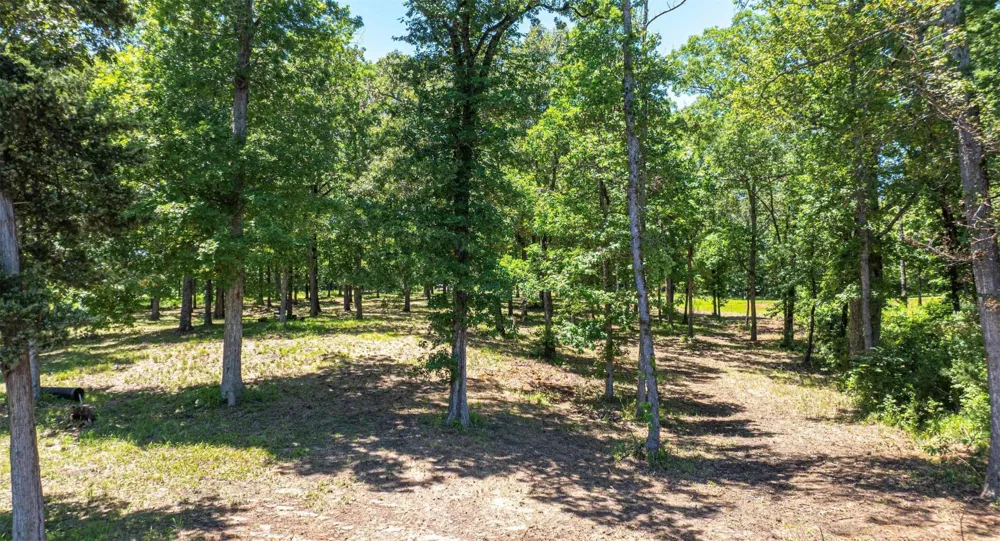 PR 52415 Leesburg, TX 75451