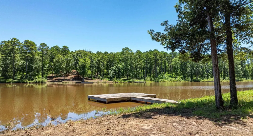PR 52415 Leesburg, TX 75451