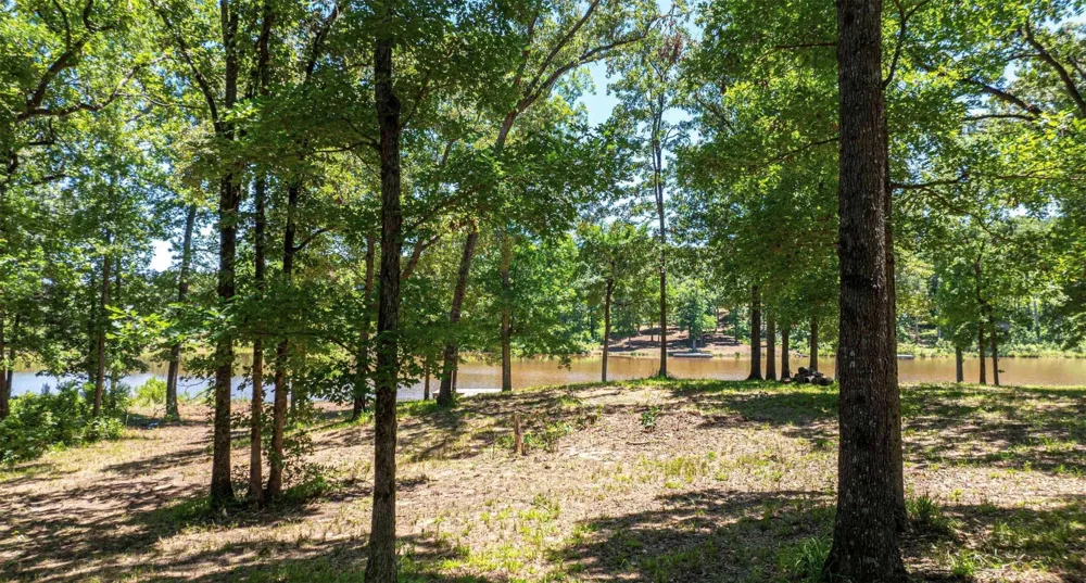 PR 52415 Leesburg, TX 75451