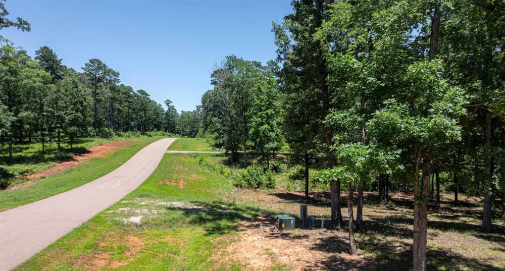 PR 52415 Leesburg, TX 75451