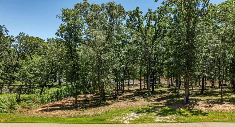 PR 52415 Leesburg, TX 75451