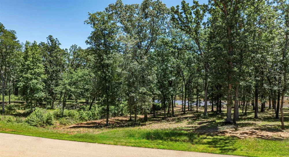 PR 52415 Leesburg, TX 75451