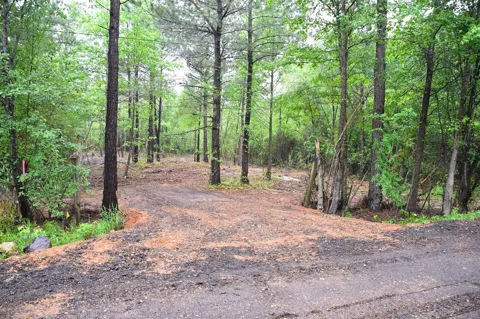 Collins Road